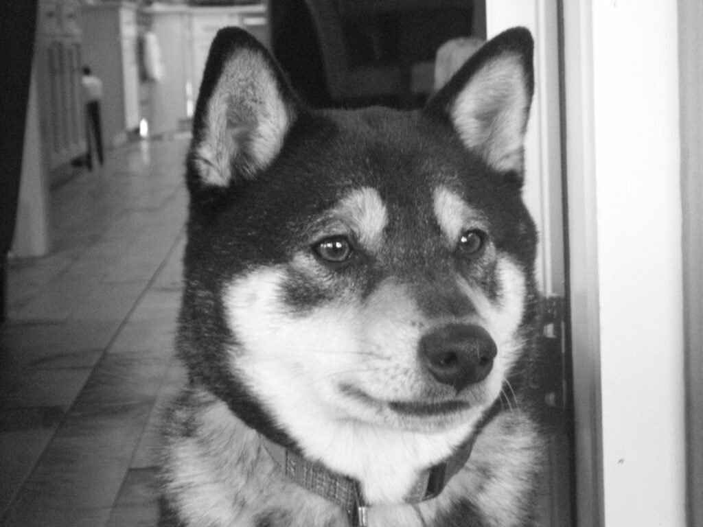 Fujifilm FinePix Z90 zoom