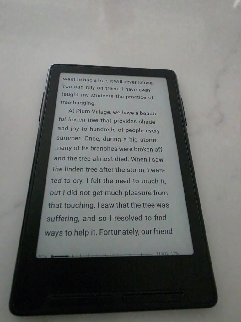 Xteink X3 Mini E-Reader